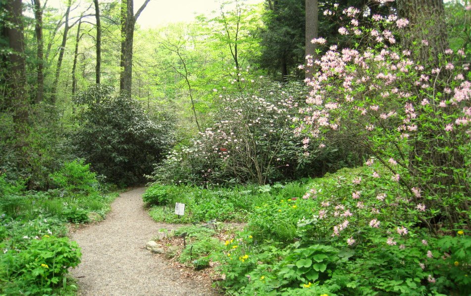 Garden in the Woods, United States